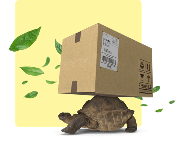 A cardboard parcel carried on the back of a tortoise, with green leaves blowing past